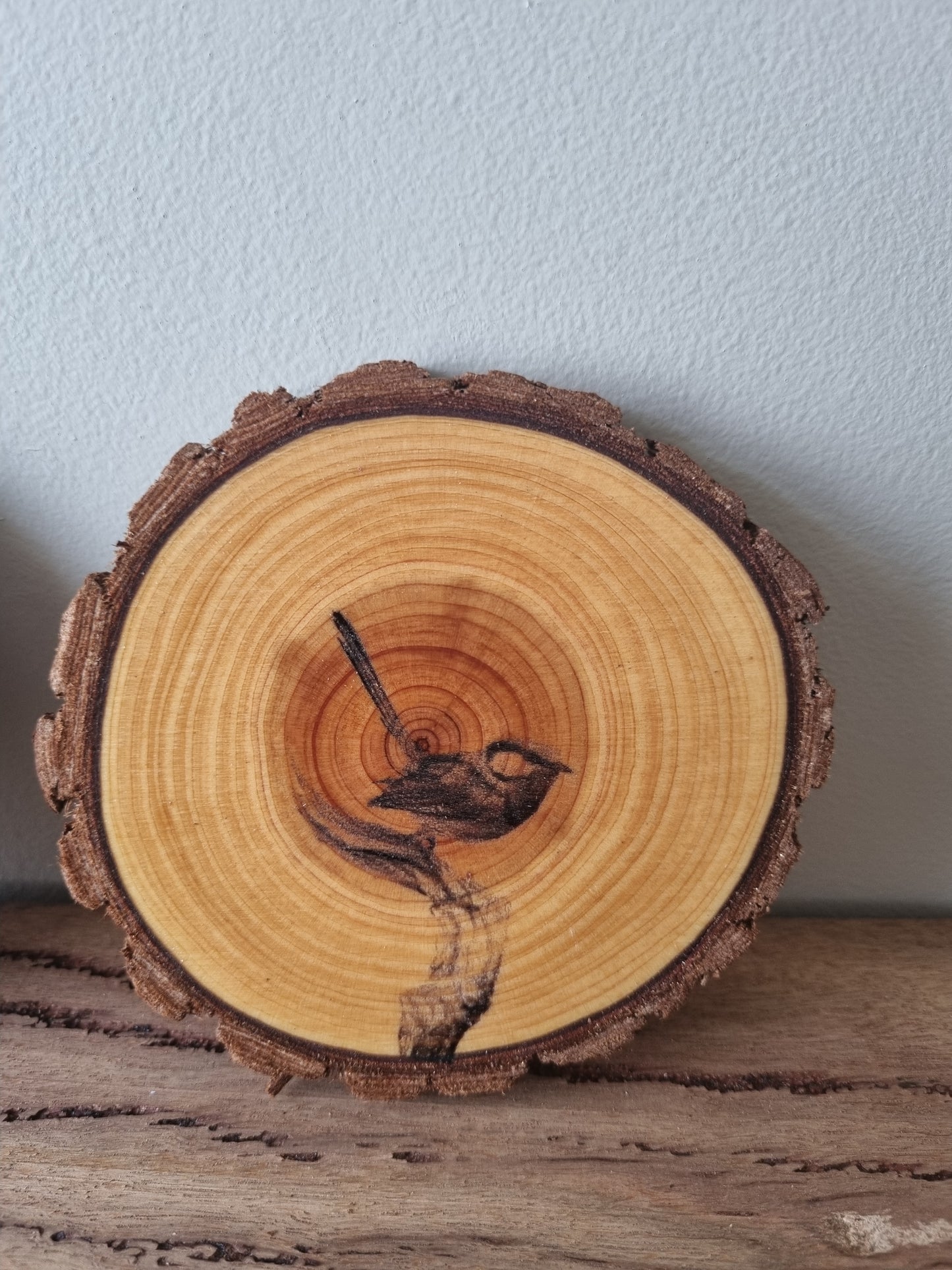 Blue wren coasters