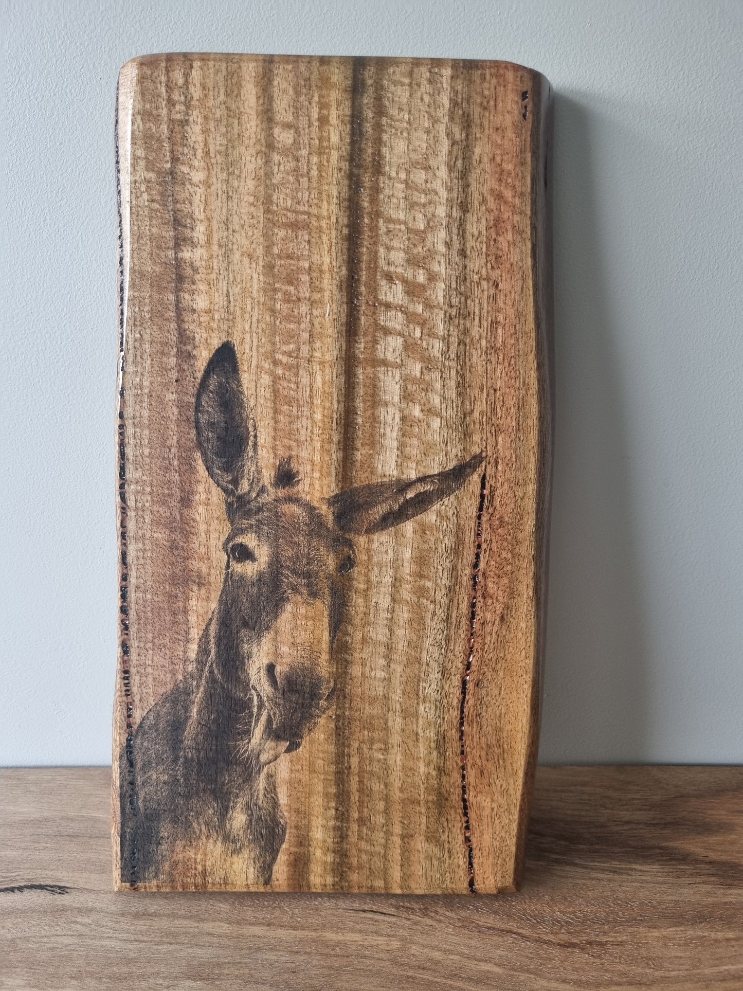 Rustic Wooden Portrait: Donkey