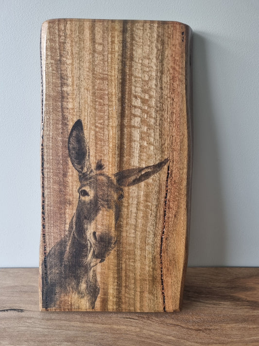Rustic Wooden Portrait: Donkey