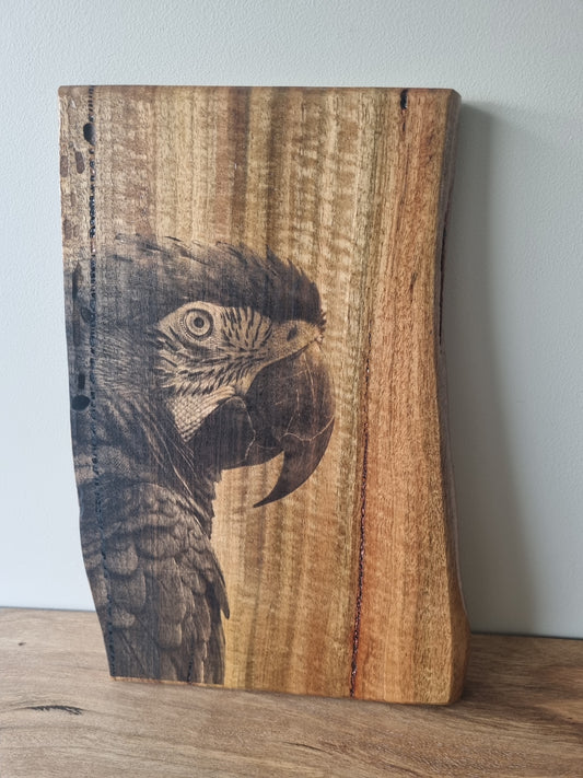 Rustic Wooden Portrait: Parrot
