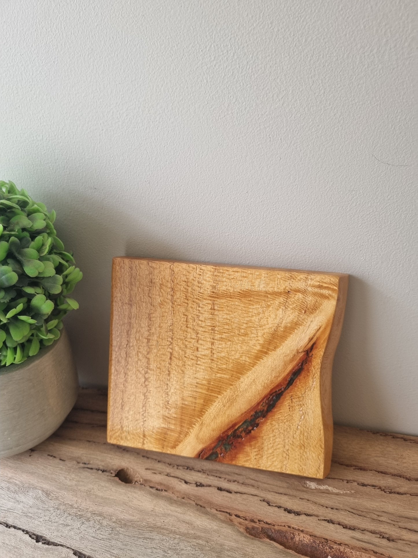 Rustic Coasters: Set of 6
