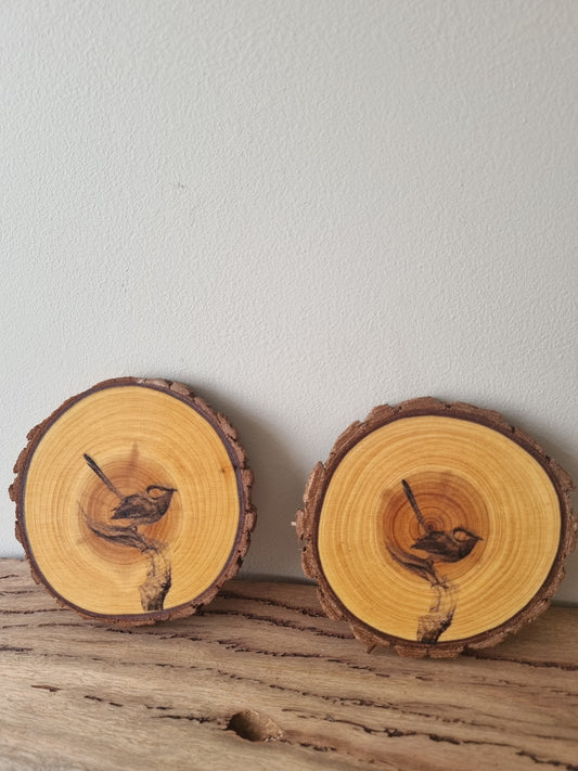 Blue wren coasters