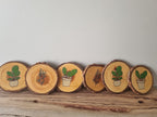 Plants - Set of 6