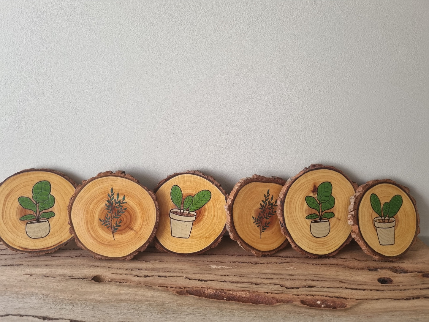 Plants - Set of 6