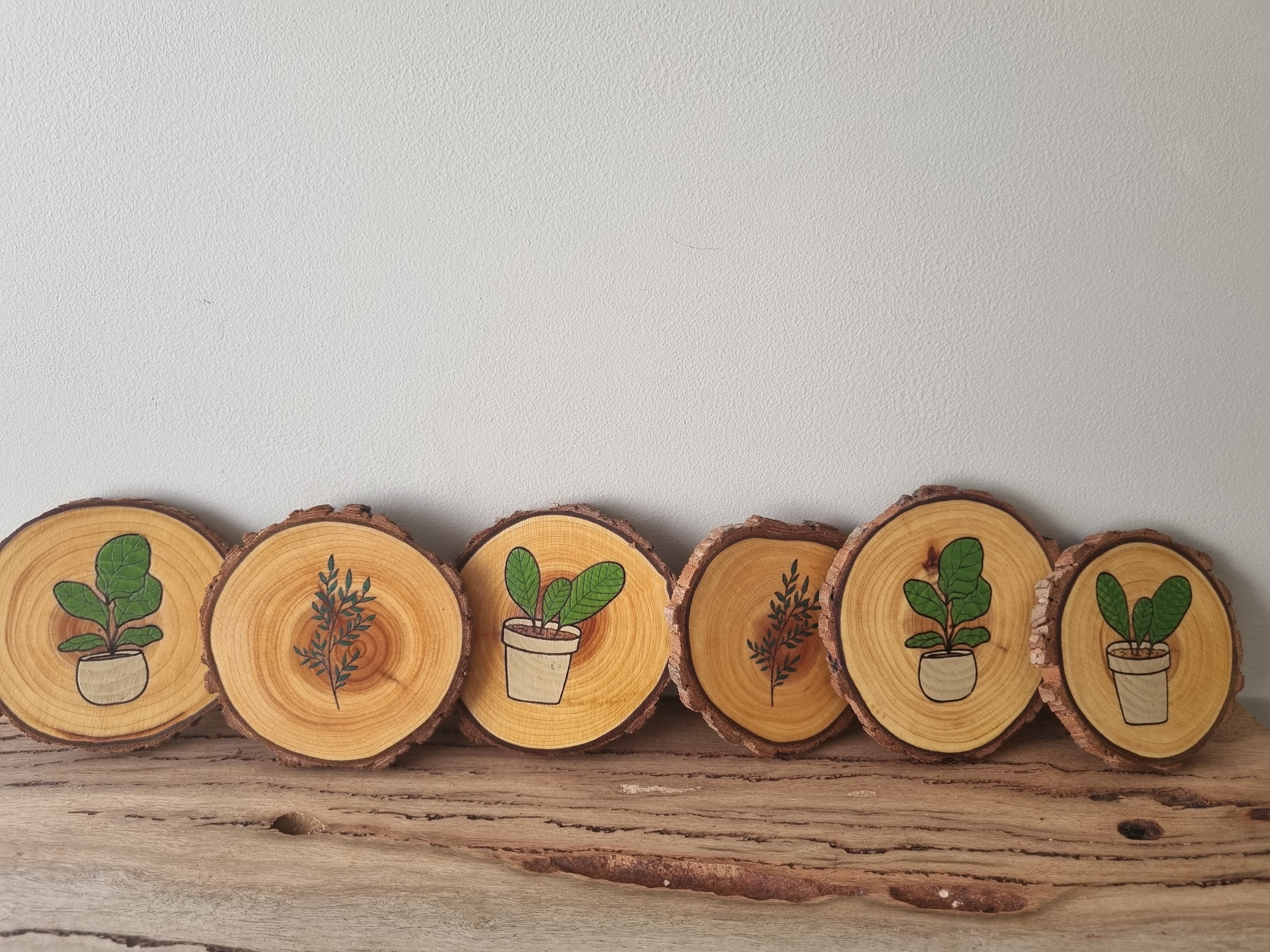 Plants - Set of 6
