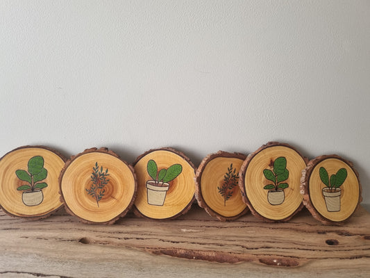 Plants - Set of 6