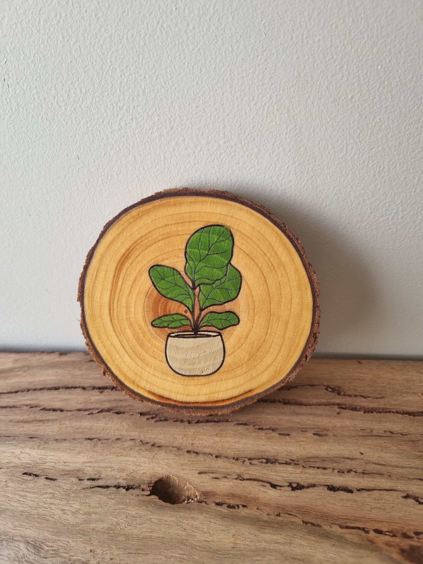 Plants - Set of 6