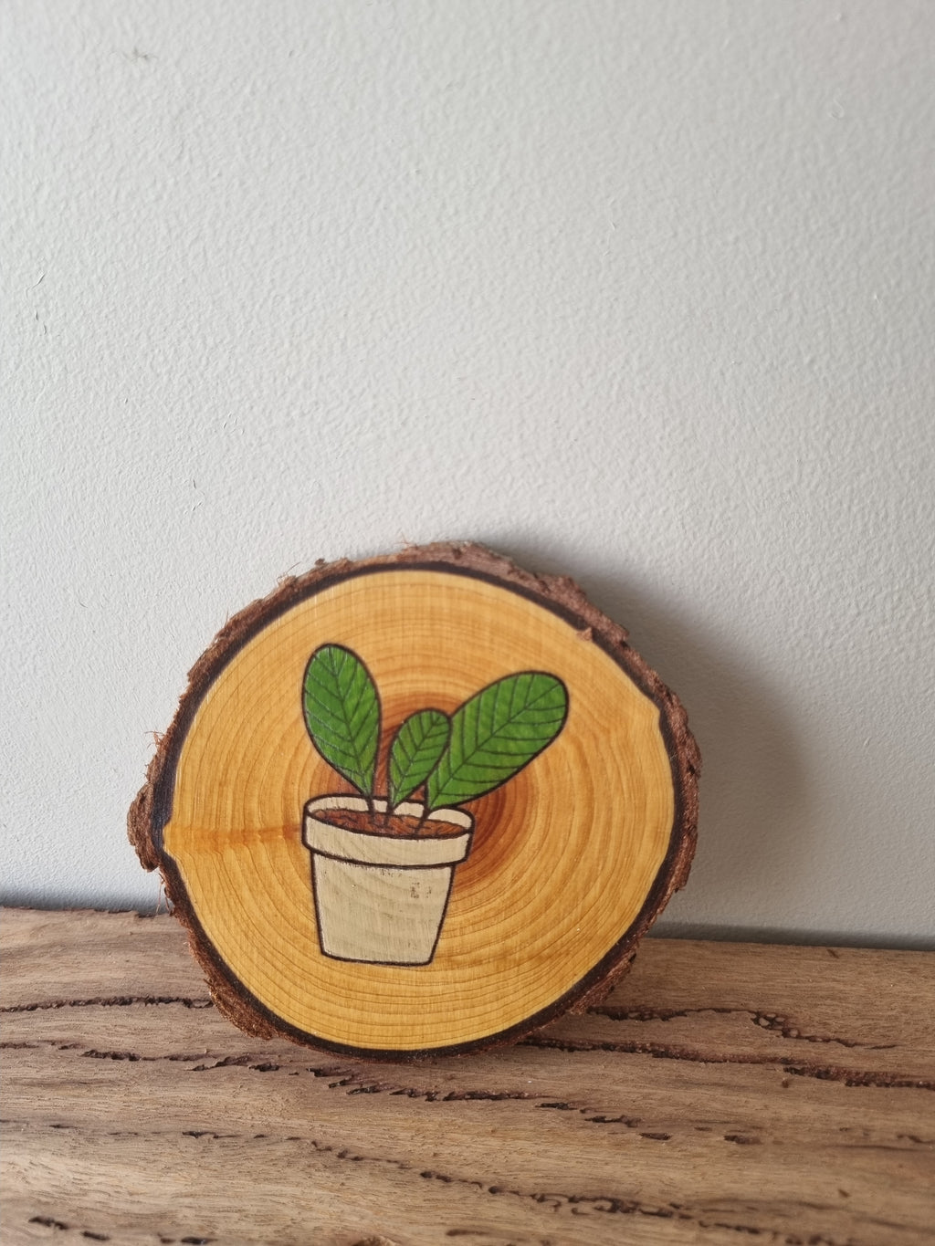 Plants - Set of 6