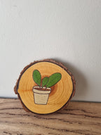 Plants - Set of 6