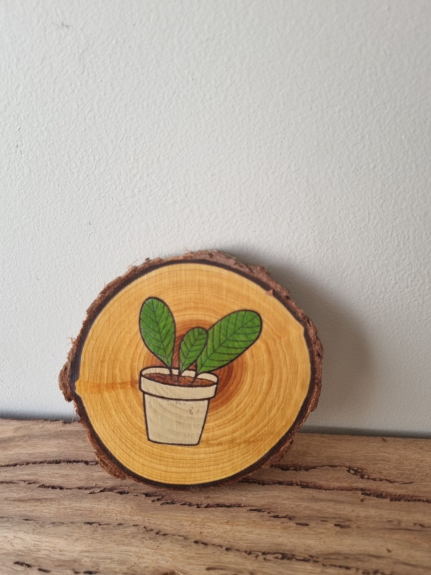 Plants - Set of 6