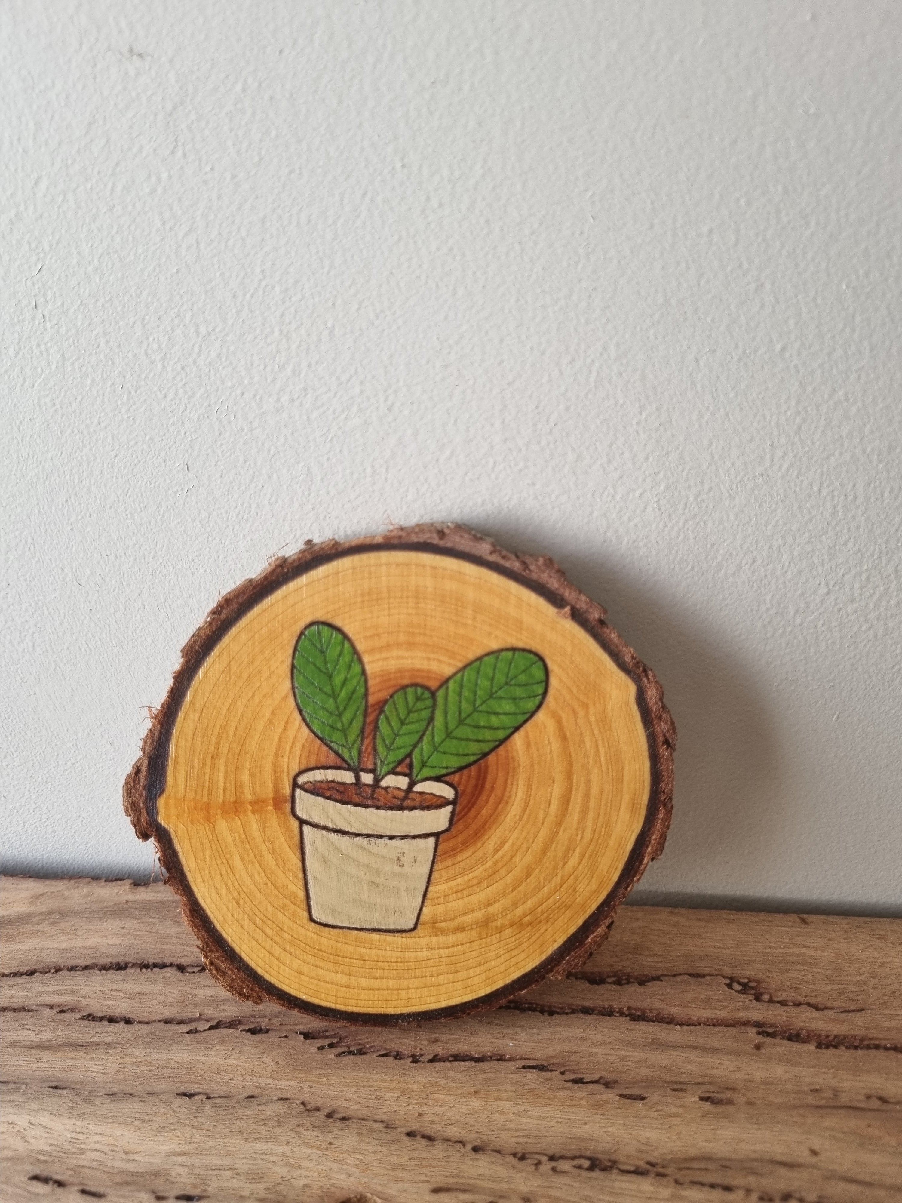 Plants - Set of 6