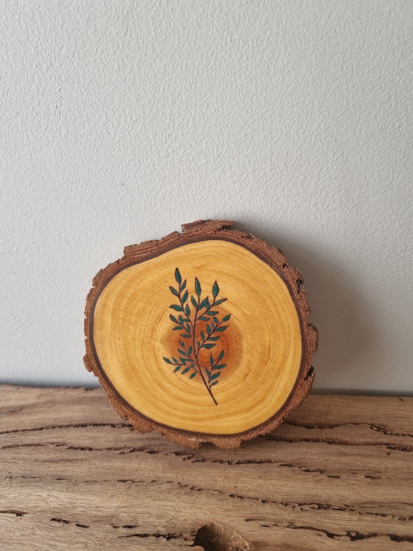 Plants - Set of 6