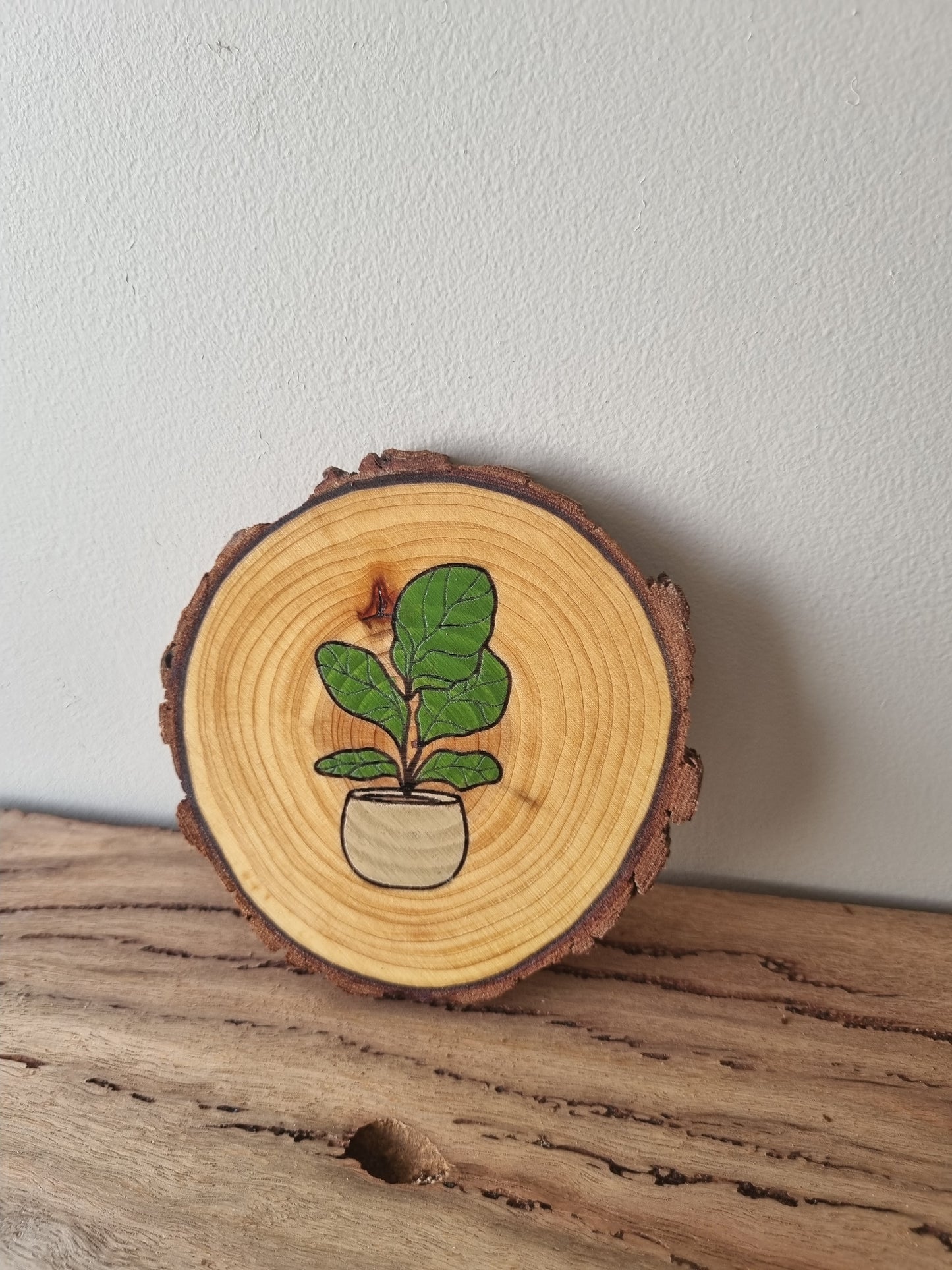 Plants - Set of 6