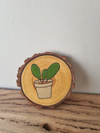 Plants - Set of 6