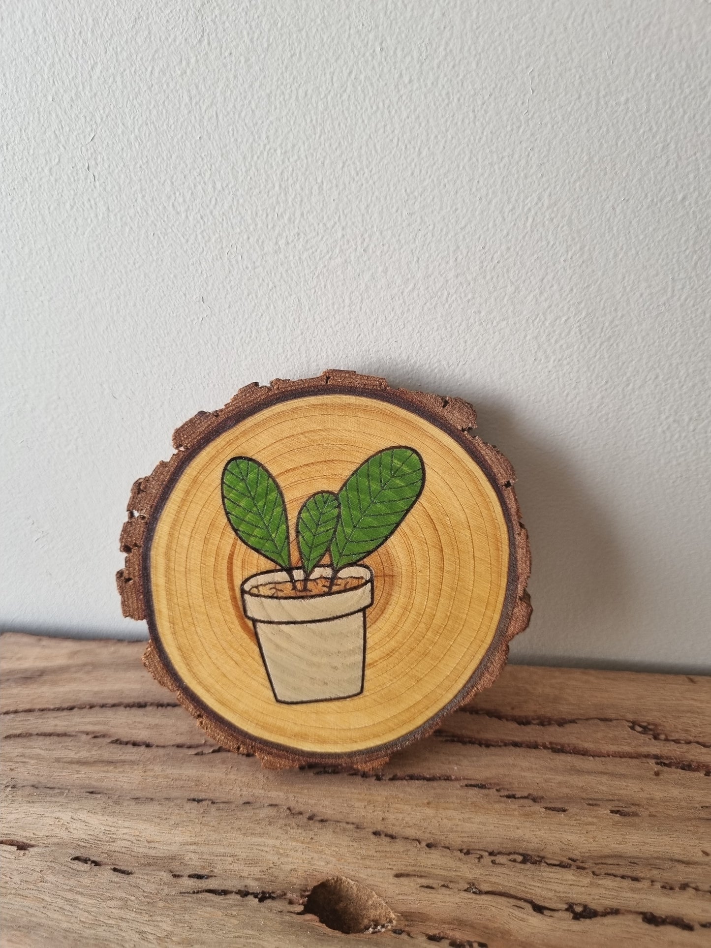 Plants - Set of 6