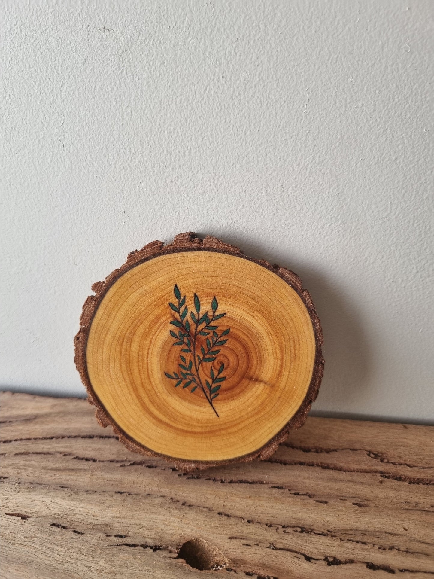 Plants - Set of 6