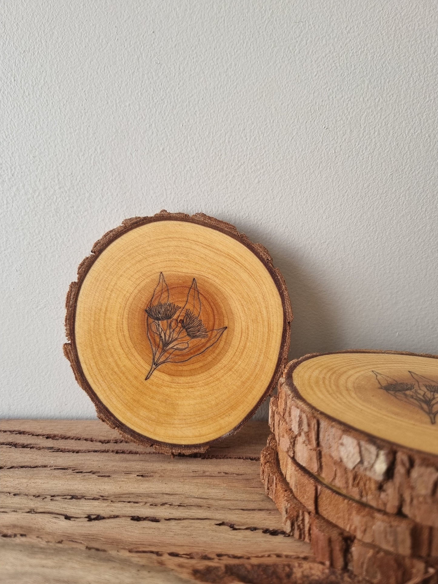 Eucalyptus coasters- Set of 5