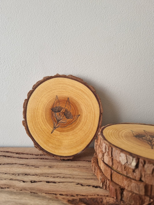 Eucalyptus coasters- Set of 5