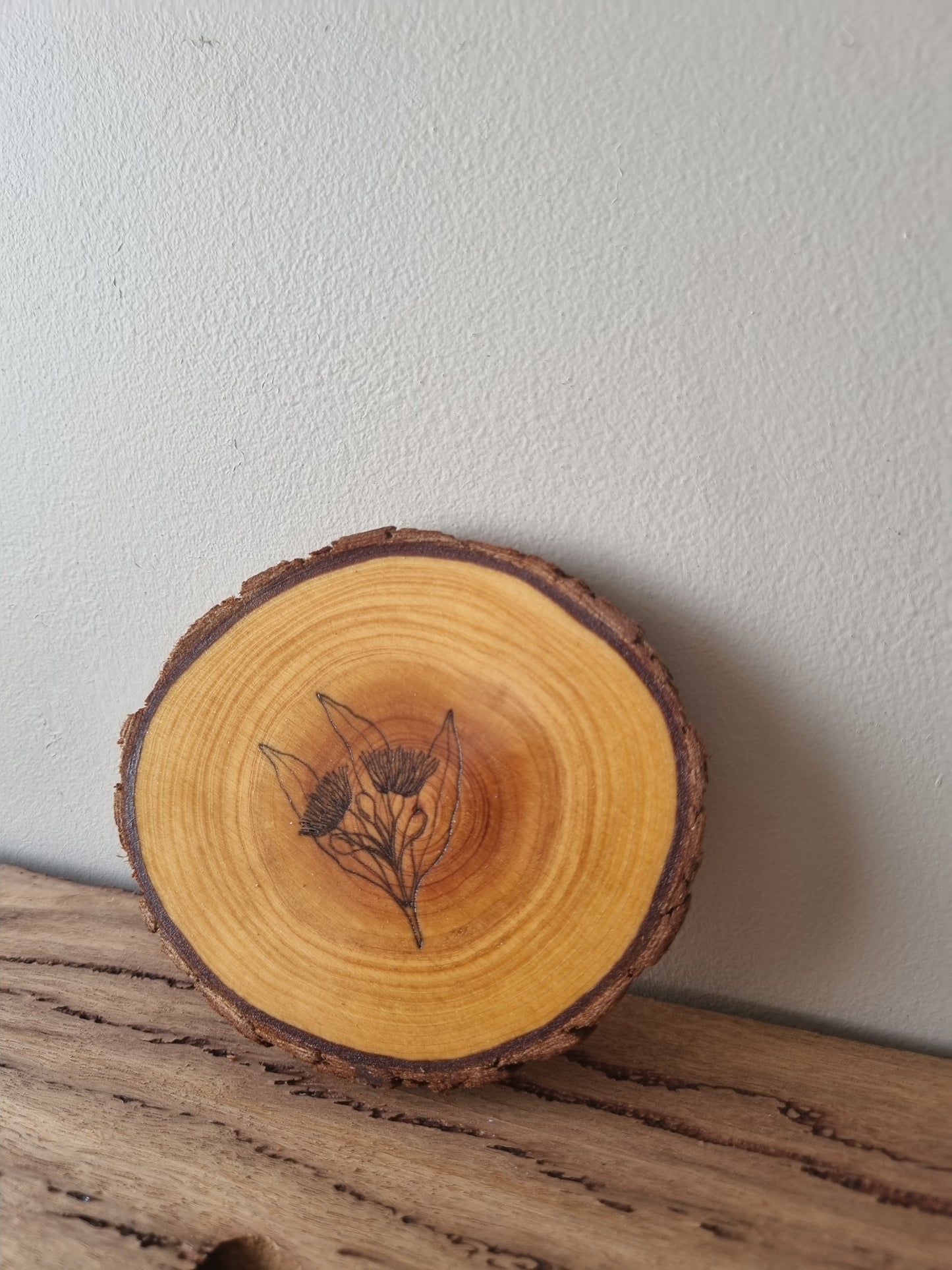 Eucalyptus coasters- Set of 5