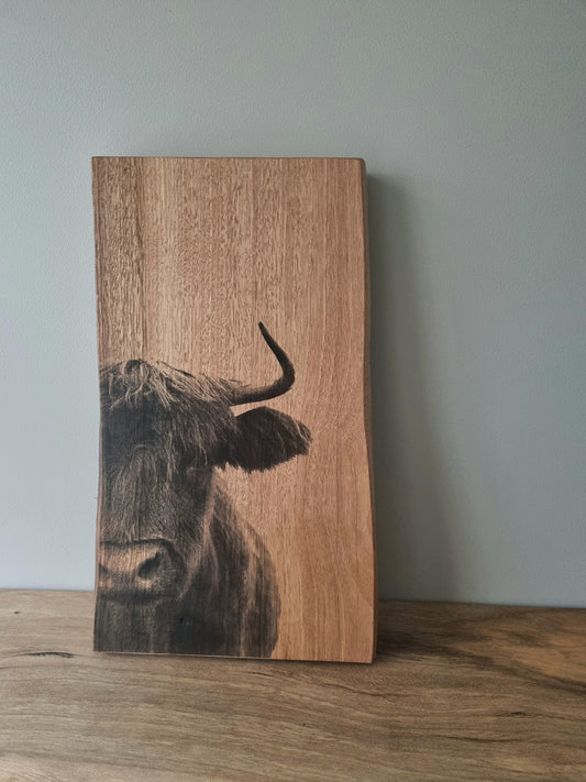 Rustic Wooden Portrait: Cow