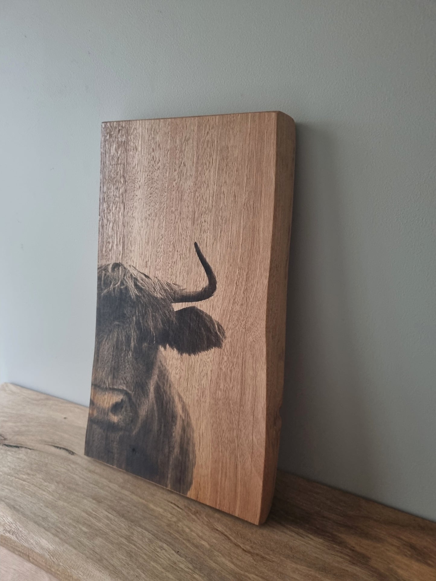 Rustic Wooden Portrait: Cow
